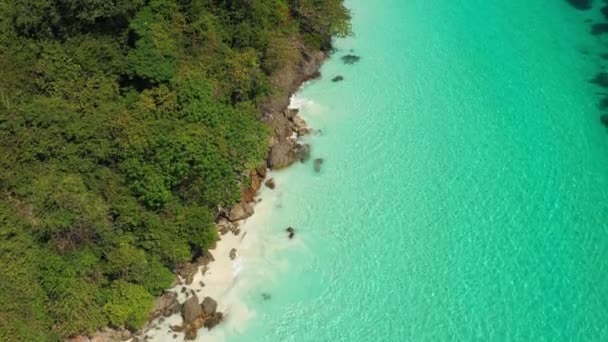 Widok Lotu Ptaka Fale Oceaniczne Plaża Skaliste Wybrzeże Piękny Las — Wideo stockowe