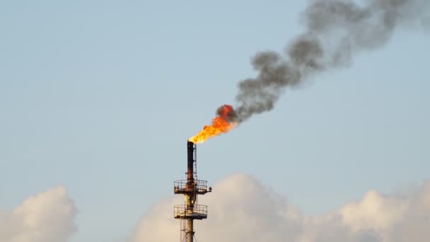 Φωτιά Καπνοδόχο Φωτοβολίδων Στο Διυλιστήριο Πετρελαίου Και Φυσικού Αερίου Κεντρική — Αρχείο Βίντεο