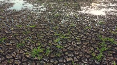 İklim değişikliği konseptinin hava görüntüsü B rulosu. Kuru göl ve iklim değişikliği üzerinde uçan sinek dronu. Nehrin kuraklığına küresel ısınma neden oldu. Kamera B, 4k sahnesi..