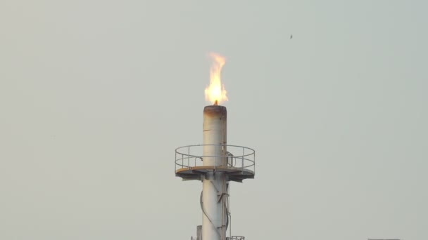 石油精製所およびガス中央処理プラットフォームでフレアスタックに火をつけ 毒性を燃焼させ 圧力を解放します 石油精製工場のガスフレアは — ストック動画