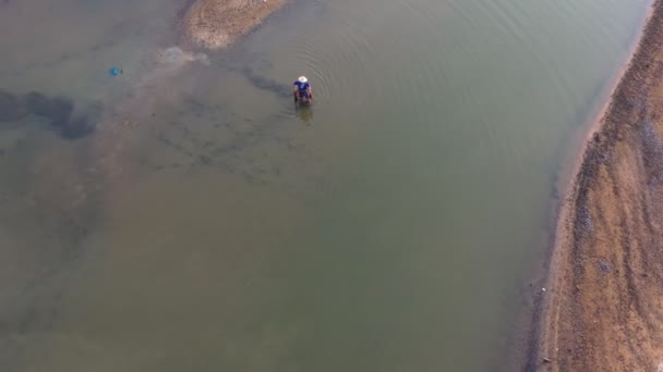 Footage Roll Aerial View Drone Shot Fisherman Throwing Fishing Net — Stock Video