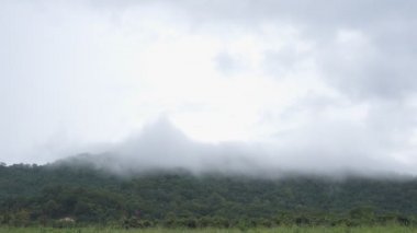 Görüntü B Roll Fog yavaş çekim yüksek dağda hareket ediyor. Yağmur sisi hareket ediyor. Yağmur mevsiminde doğa