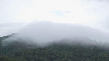Görüntü B Roll Fog yavaş çekim yüksek dağda hareket ediyor. Yağmur sisi hareket ediyor. Yağmur mevsiminde doğa