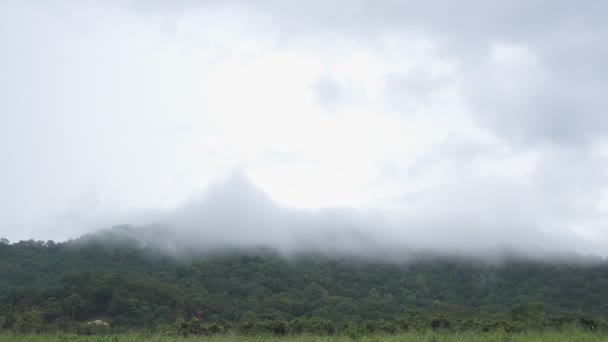 映像B高い山を越えて移動するロールフォグスローモーション 雨霧が動く 雨季の自然 — ストック動画