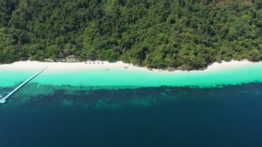 Aerial view okyanus dalgaları, sahil ve kayalık sahil şeridi ve güzel ormanın ikinci filmi. Myanmar Adası, Myanmar 'ın güneyindeki tropikal deniz ve adalar. Güzel turistik yerler.