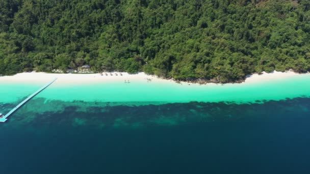 Aerial View Okyanus Dalgaları Sahil Kayalık Sahil Şeridi Güzel Ormanın — Stok video