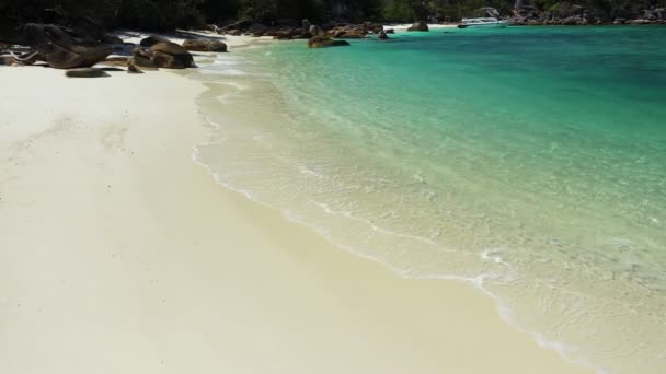 Images Rouleau Vue Aérienne Vagues Océan Plage Littoral Rocheux Belle — Video