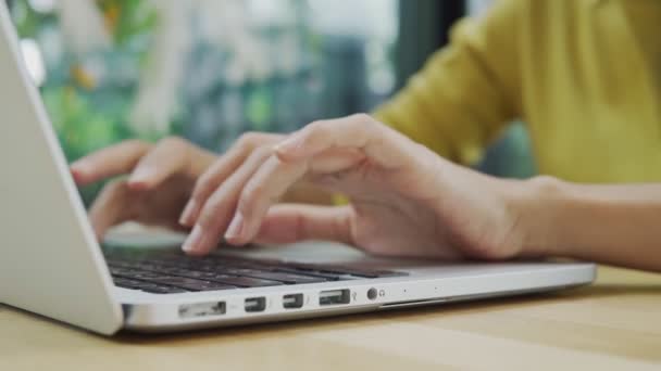 Verfilmung Der Rolle Einer Geschäftsfrau Die Mit Dem Laptop Café — Stockvideo