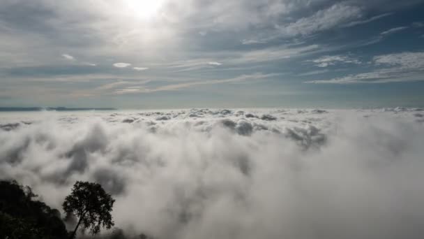映像Bロールは 日の出の空の間 霧や雲の上を通過します ステータスから霧の海が形成されます 霧の谷の尾根自然 時間の経過美しい霧と雲の遅い移動空中ビュー — ストック動画