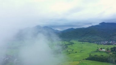 Çeltik tarlalarındaki tarımın üzerinde uçan Aerial view insansız hava aracının görüntüsü. Doku arka planı doğaldır. Tarım kavramı Tayland 'ın Nan eyaletinde pirinç bitkileri yetiştiriyor..