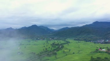 Çeltik tarlalarındaki tarımın üzerinde uçan Aerial view insansız hava aracının görüntüsü. Doku arka planı doğaldır. Tarım kavramı Tayland 'ın Nan eyaletinde pirinç bitkileri yetiştiriyor..