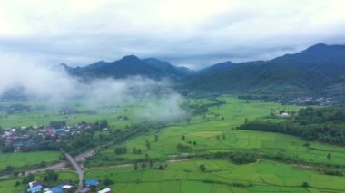 Çeltik tarlalarındaki tarımın üzerinde uçan Aerial view insansız hava aracının görüntüsü. Doku arka planı doğaldır. Tarım kavramı Tayland 'ın Nan eyaletinde pirinç bitkileri yetiştiriyor..