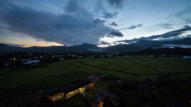 Çeltik tarlalarında uçuşun 4K 'lık görüntüsü. Güzel doğa manzarası ve sabahları sisli. Doğadaki deniz sisi, tarımsal pirinç tarlaları havadan zaman aşımı.