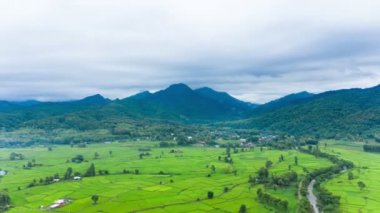Pirinç tarlalarında uçmanın 4k 'lık hızlandırılmış görüntüsü. Güzel doğa manzarası ve sabahları sisli. Doğadaki deniz sisi, tarımsal pirinç tarlaları havadan zaman aşımı.