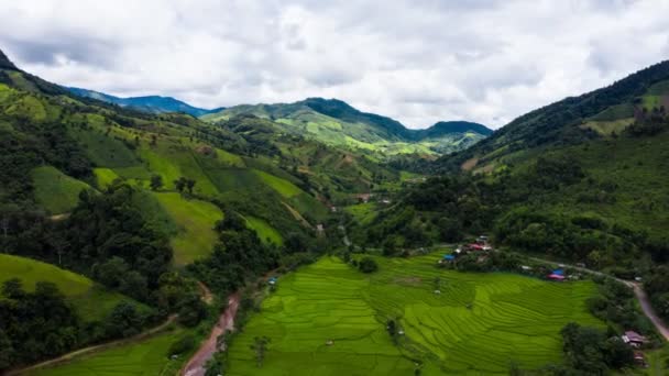 Footage Roll Hyperlapse Timelapse Flying Rice Paddy Fields Aerial View — Stock Video