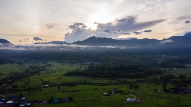 Záběr Roll Hyperlapse Timelapse Létání Rýžových Rýžových Polích Letecký Výhled — Stock video