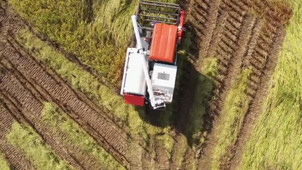 Filmación Roll Vista Aérea Máquina Cosechadora Combine Con Arrozal Campo — Vídeos de Stock