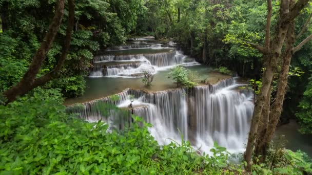 Rolo Cachoeiras Timelapse Bela Natureza Time Lapse Magic Water Cai — Vídeo de Stock