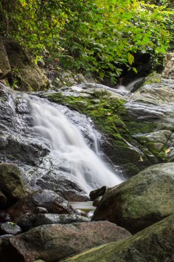 taş duvar ile doğada küçük şelaleler 