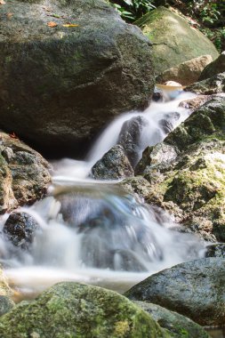 taş duvar ile doğada küçük şelaleler 