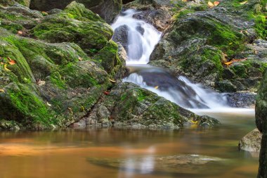 taş duvar ile doğada küçük şelaleler 