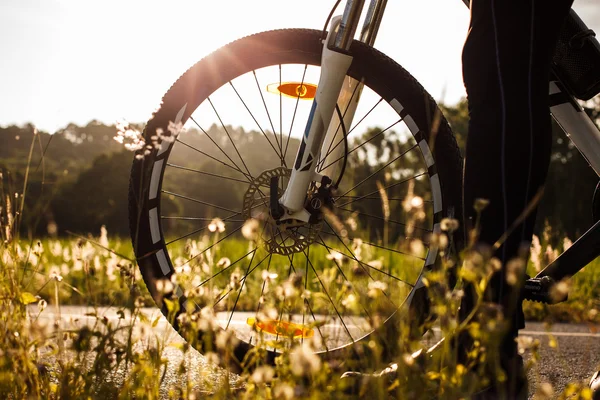 Bicycle wheel at sunrise — Stock Photo, Image