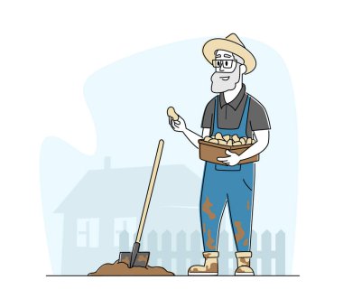 İşçi tulumunda kıdemli çiftçi karakteri Bahçede çalışıyor Köyde ya da kırsalda toprak kazıyor ya da patates ekiyor