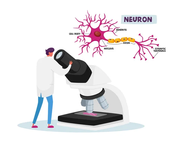 Neurobiologie oder chemische Laborforschung, Versuchskonzept. Winzige Wissenschaftlerin arbeitet im Labor mit riesigem Mikroskop — Stockvektor