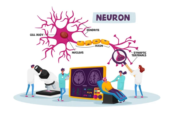 Scientifiques personnages portant la robe médicale blanche apprenant cerveau humain en laboratoire avec schéma de la dendrite, corps cellulaire — Image vectorielle