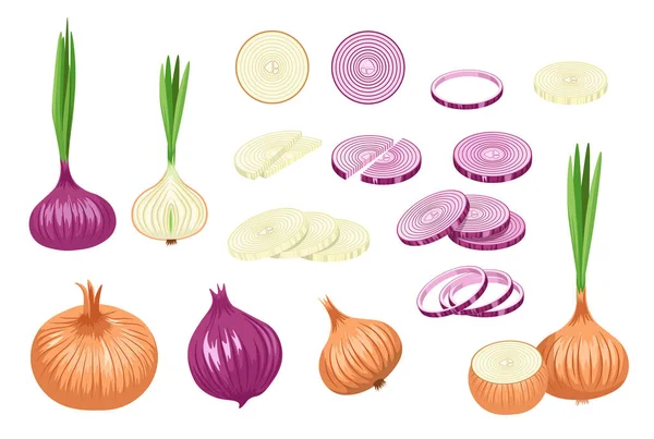 Set of Brown and Purple Onions, Vegetable, Natural Garden Plant, Veggies Culture Здорова їжа, вирощування еко — стоковий вектор