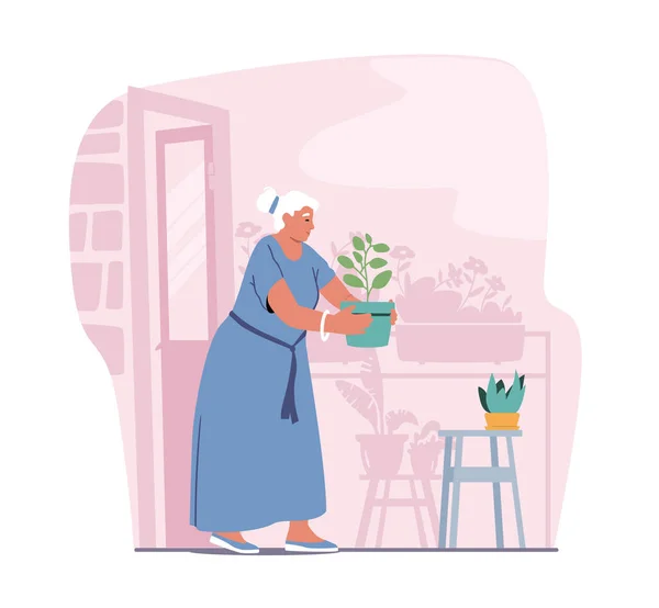 Bahçıvanlık hobisi. Saksıdaki Ev Bitkilerinin Yaşlanmış Gri Saçlı Kadın Karakteri. Yaşlı bayan çiçek saksısı taşıyor. — Stok Vektör