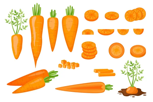 Állítsa be az ikonok nyers sárgarépa fele, szeletelt, kockára vágott és vágott csíkok és szeletek. Friss bio és egészséges zöldségek — Stock Vector