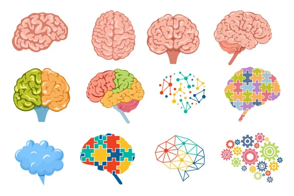 Conjunto de iconos Cerebro humano, Neurología, Elementos de la ciencia de la anatomía. Cuerpo frontal del órgano, vista superior y lateral con circunvoluciones — Vector de stock