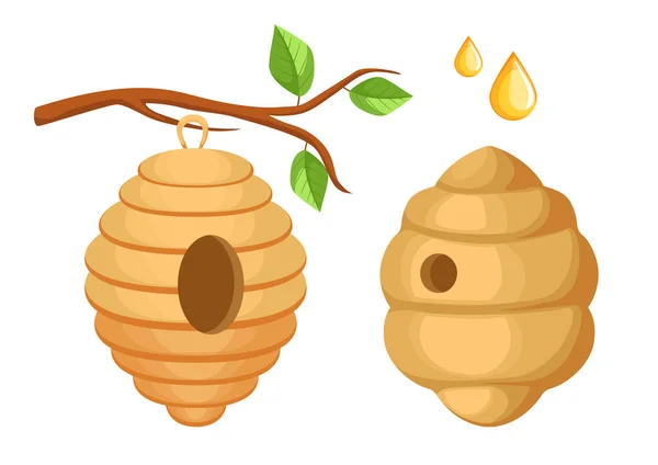 Colmena colgando de la rama del árbol, abejas silvestres colmena y miel gotas aisladas sobre fondo blanco. Apiario, Hogar de Enjambre — Vector de stock