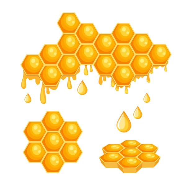 Medové plástve s včelím medem, šestiúhelníkové buňky s kapající sladkou tekutinou izolované na bílém pozadí. Zdravé sladkosti — Stockový vektor