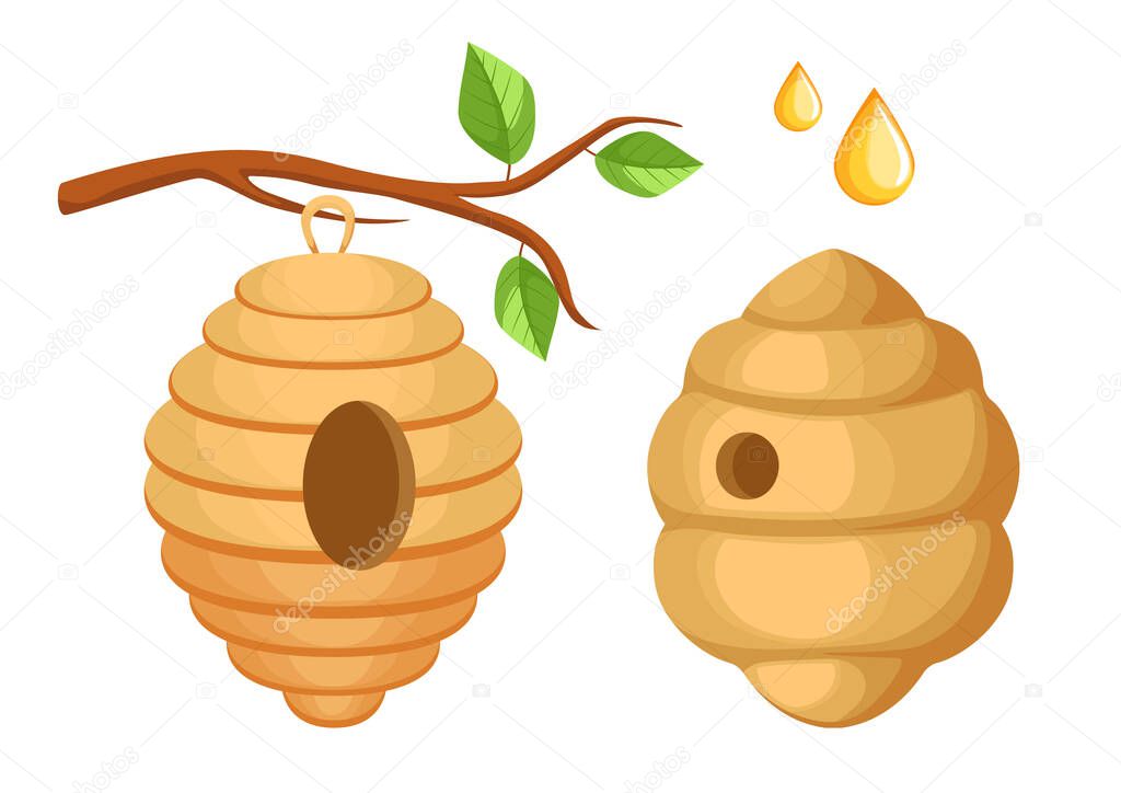 Bee Hive Hanging on Tree Branch, Wild Bees Beehive and Honey Drops Isolated on White Background. Apiary, Swarm Home