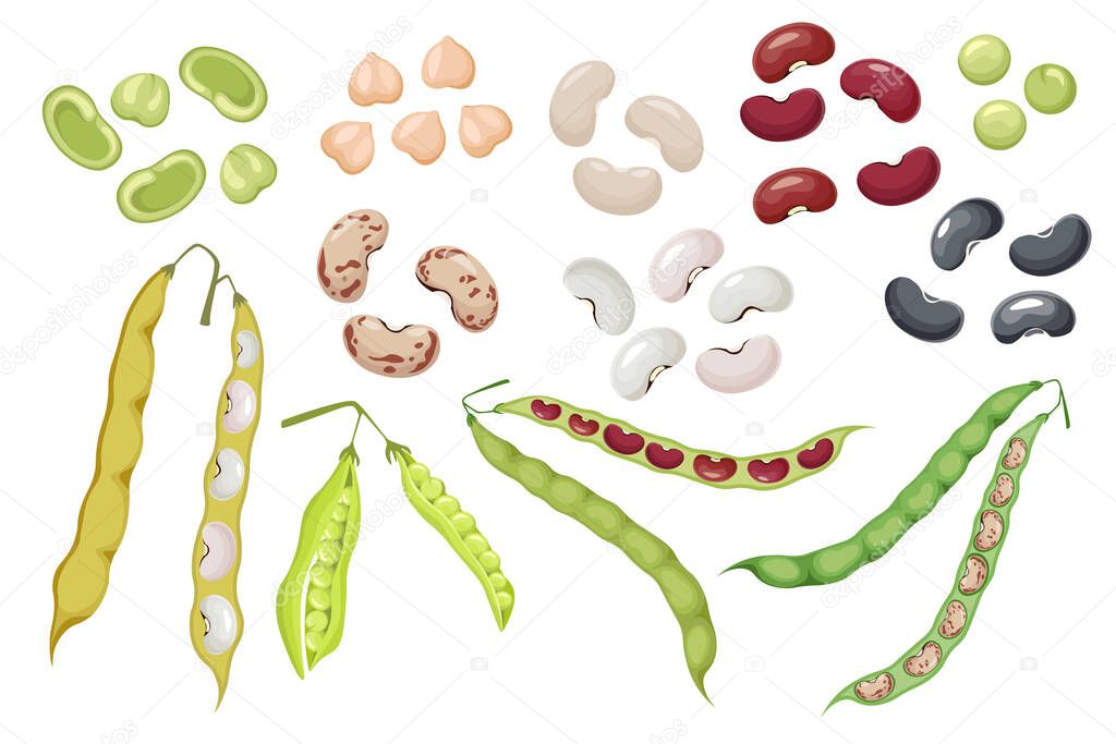 Set Icons Bean Pods and Seeds, Green Pea and Chickpea Natural Vegetables. Kidney Harvest, Healthy Food, Organic Veggies