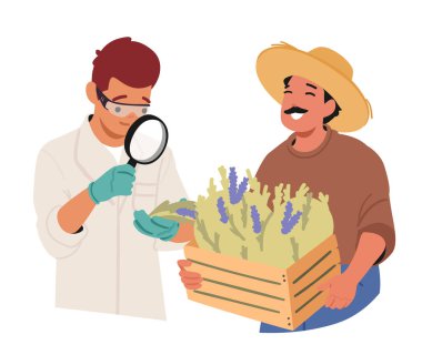 Doktor, çiftlik karikatürü sahnesinde yetişen doğal bitkilerin kalitesini kontrol etmek için loupe kullanıyor. Homeopati ürünleri için tarım ekili bitkiler saflık, etki gücü ve sağlık standartları vektör ilüstrasyonu testleri