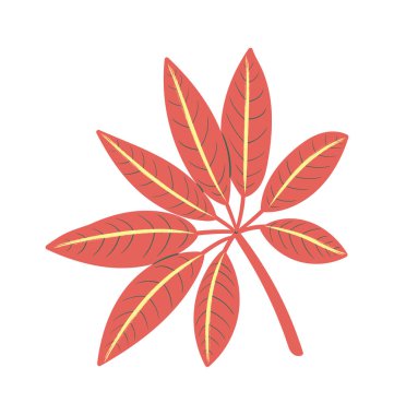 İğneli damarlar yayılan yaprak kümesi ve botanik markalaşma için temiz hatlar. Doğal varlıklar için organik yaprak motifi. Vektör illüstrasyonu