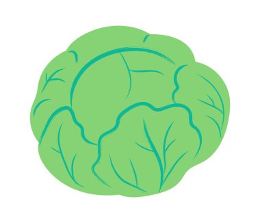 Kabak kafalı, katmanlı yapraklı ve damarlı kalın çizgi film tarzında. Tazelik, vejetaryen gıda, hasat ve organik ürün sembolü. Çizgi film vektör illüstrasyonu.