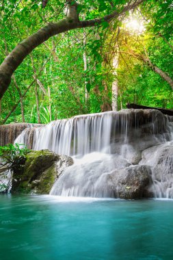 Ormanda güzel bir şelale