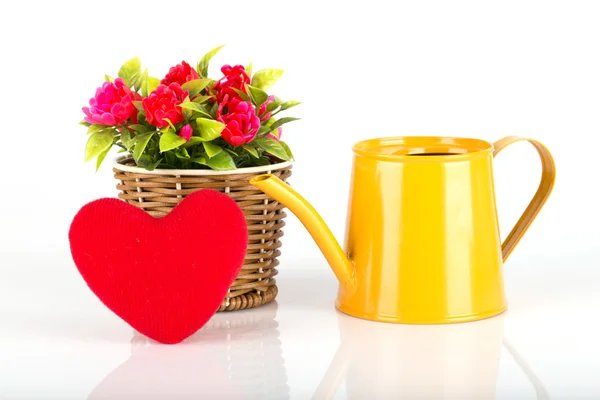 Watering can with flowers and red heart — Stock Photo, Image