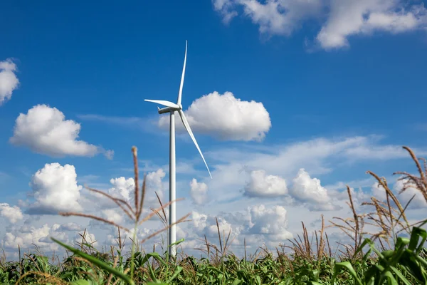 Turbina eólica para energía alternativa en el cielo de fondo en Cassava — Foto de Stock