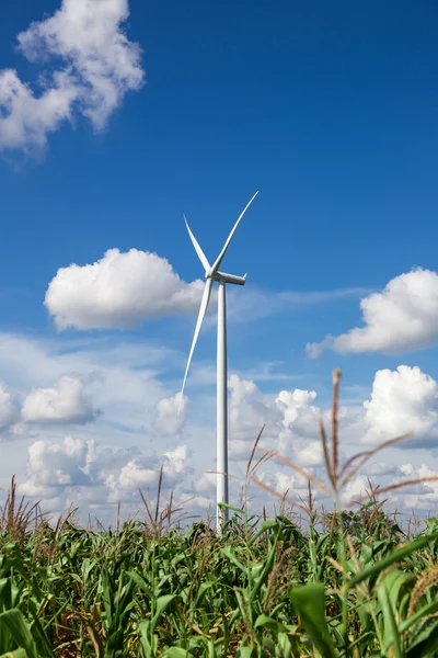 Vindturbinsfarm — Stockfoto