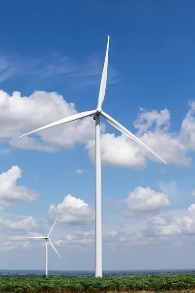 Wind Turbine Farm Stock Picture