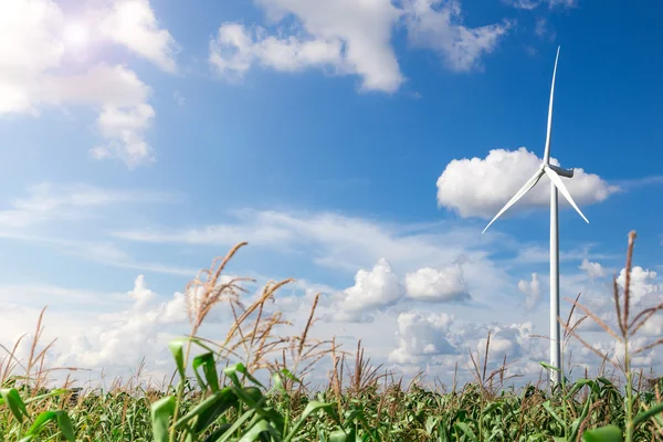 Ферма ветряных турбин с солнечным светом — стоковое фото