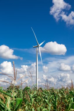 Rüzgar türbini çiftliği