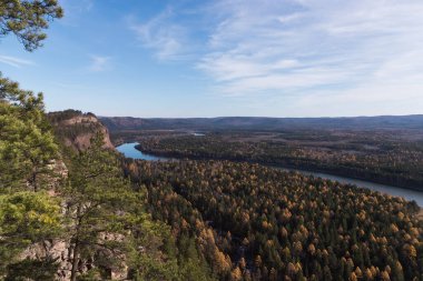 Ormanın üzerinden geçen bir nehrin üzerinden geçen hava manzarası.