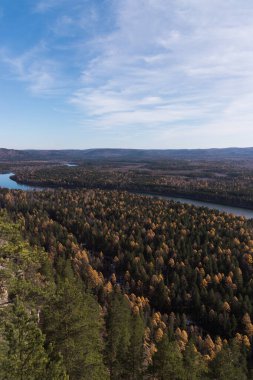 Nehirli bir ormanın üzerindeki hava manzarası.