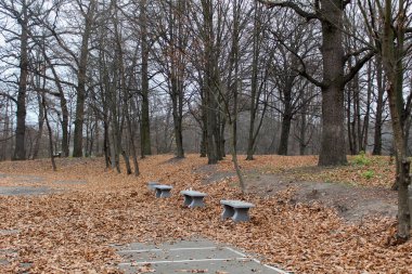 Sonbaharın sonlarında bir orman ya da park sahnesi. Etrafı kahverengi yapraklardan ve çıplak ağaçlardan oluşan kalın bir halı ile çevrili üç basit taş bank.